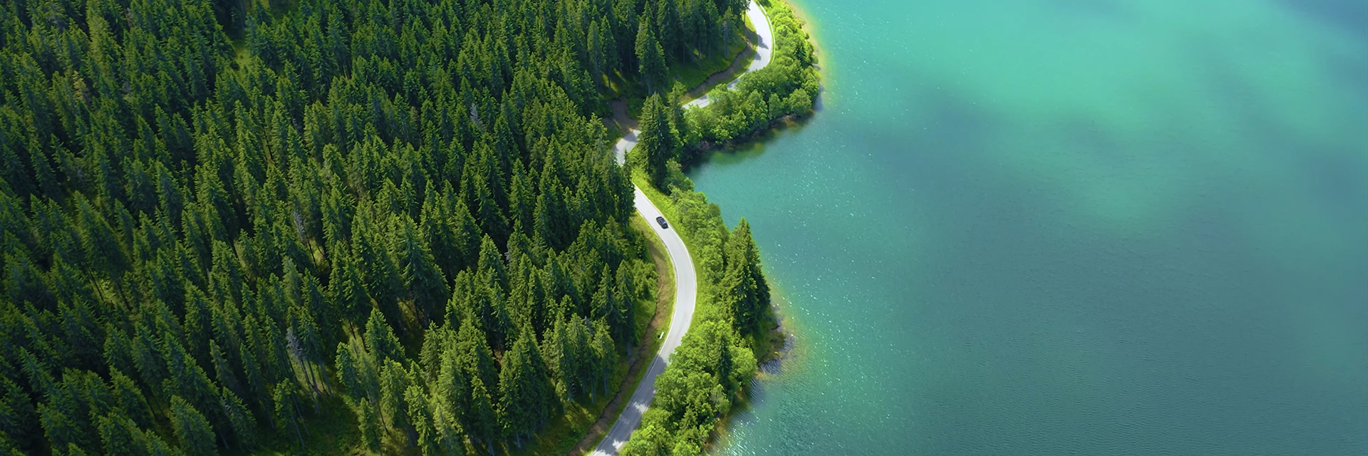 Sustainability at CAG Colloids 